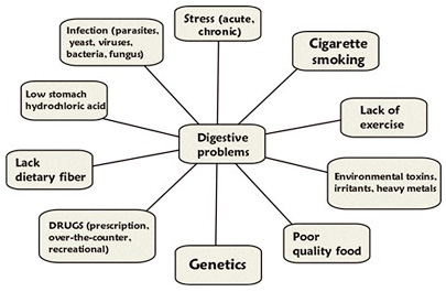Image result for different diseases that affect our digestive system
